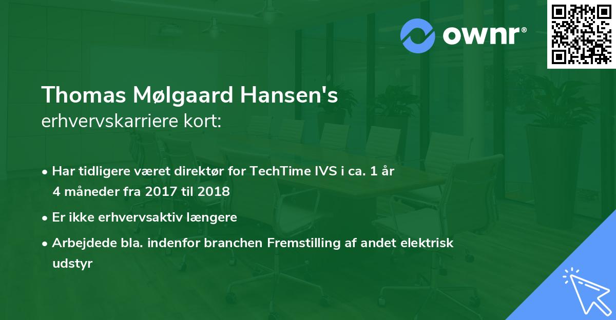Thomas Mølgaard Hansen's erhvervskarriere kort