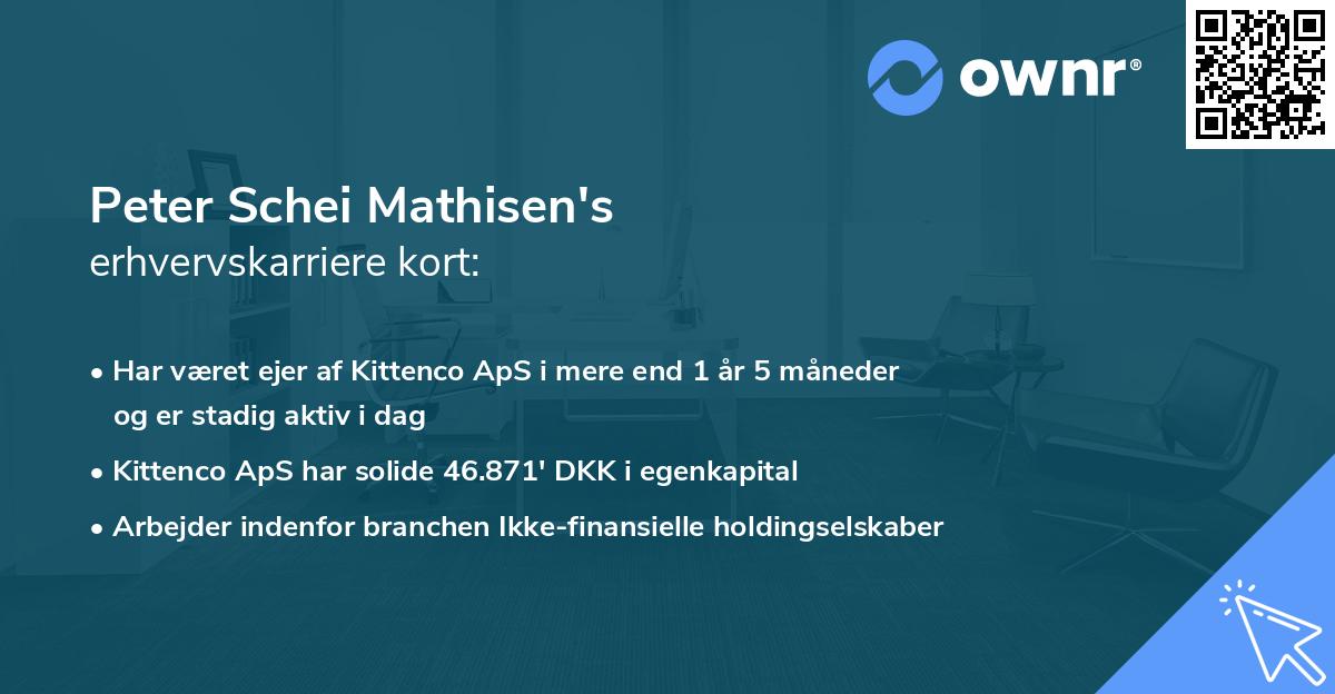 Peter Schei Mathisen's erhvervskarriere kort