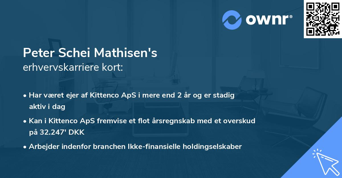 Peter Schei Mathisen's erhvervskarriere kort