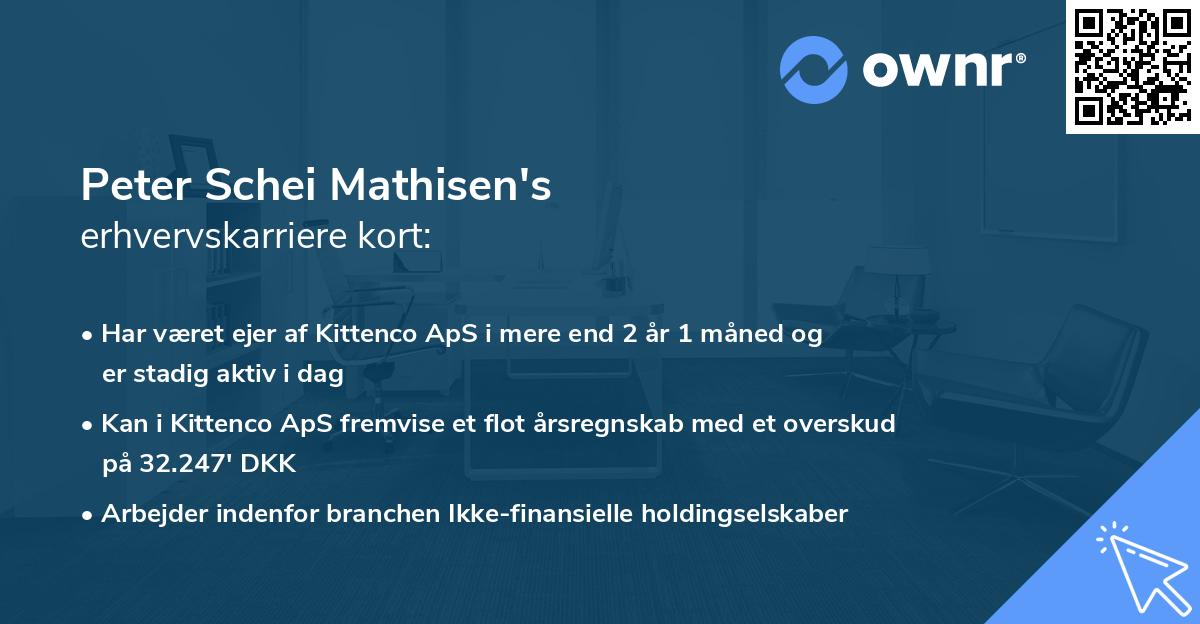 Peter Schei Mathisen's erhvervskarriere kort