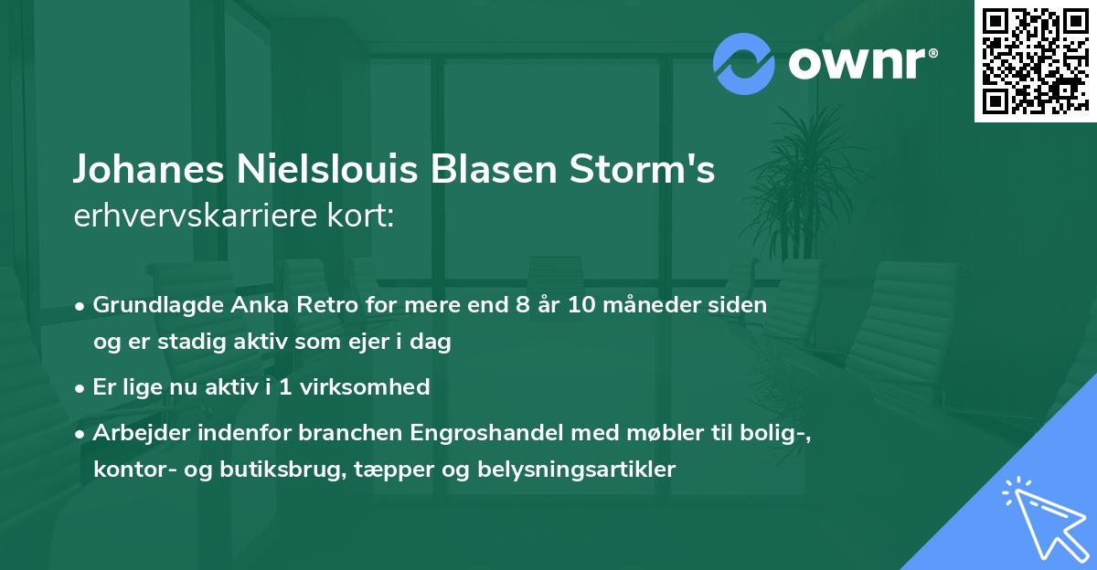 Johanes Nielslouis Blasen Storm's erhvervskarriere kort