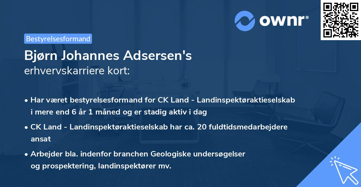 Bjørn Johannes Adsersen's erhvervskarriere kort