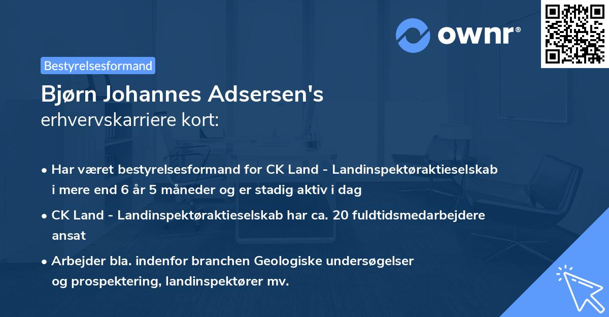 Bjørn Johannes Adsersen's erhvervskarriere kort