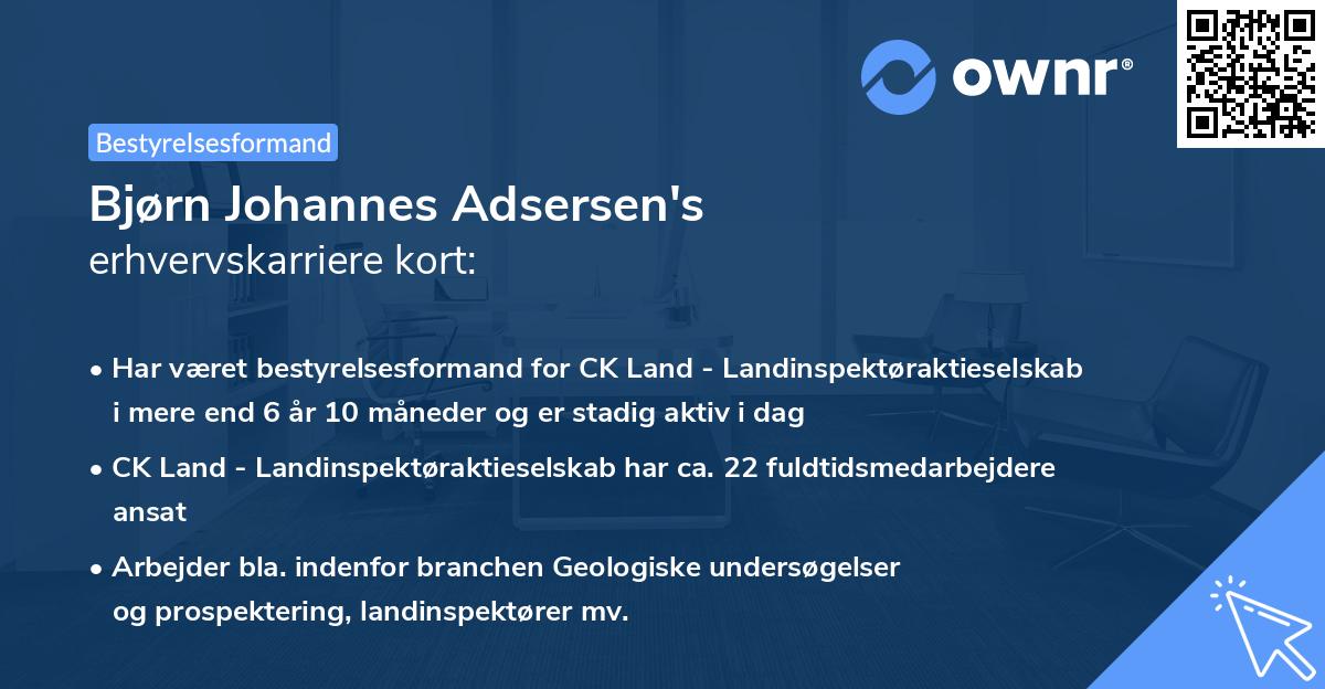 Bjørn Johannes Adsersen's erhvervskarriere kort