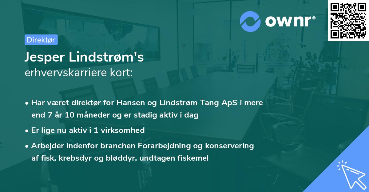 Jesper Lindstrøm's erhvervskarriere kort