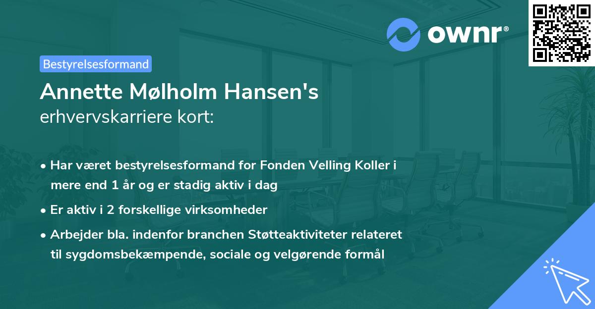 Annette Mølholm Hansen's erhvervskarriere kort