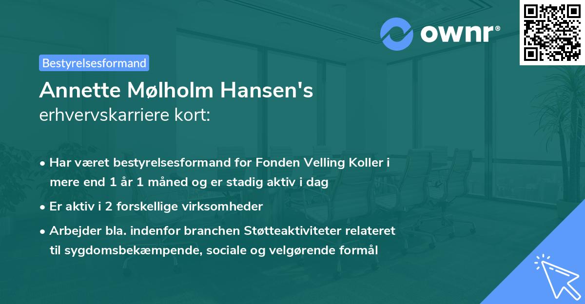 Annette Mølholm Hansen's erhvervskarriere kort