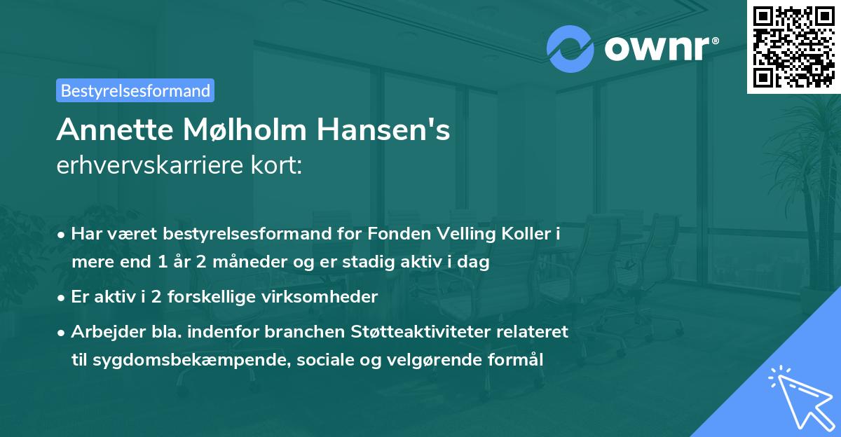 Annette Mølholm Hansen's erhvervskarriere kort