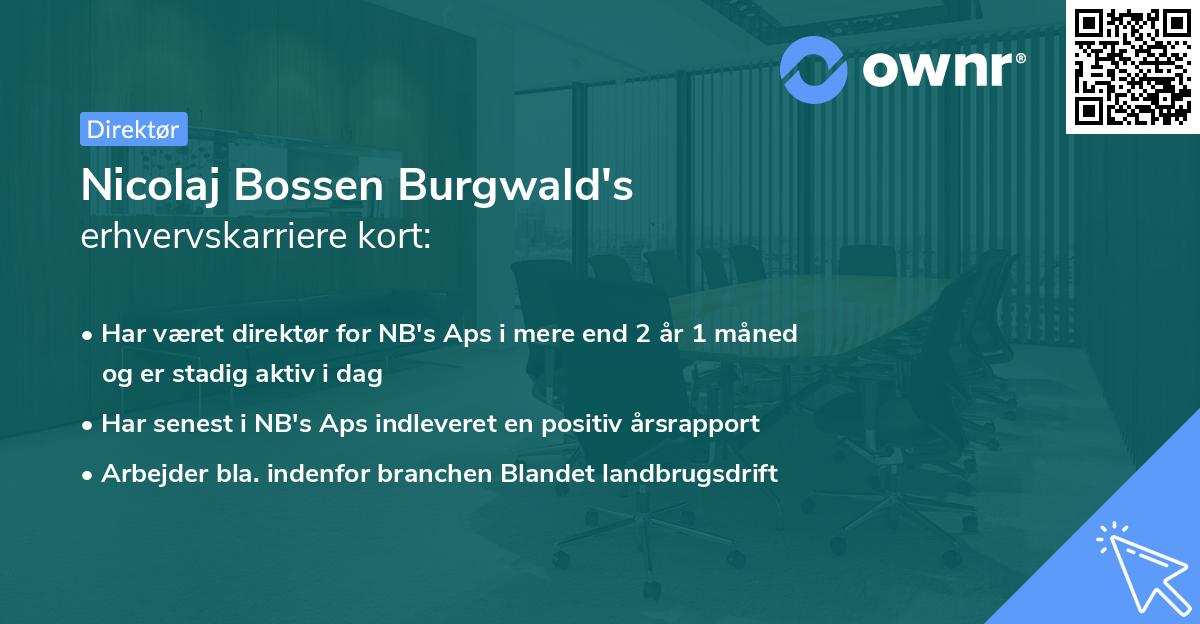 Nicolaj Bossen Burgwald's erhvervskarriere kort