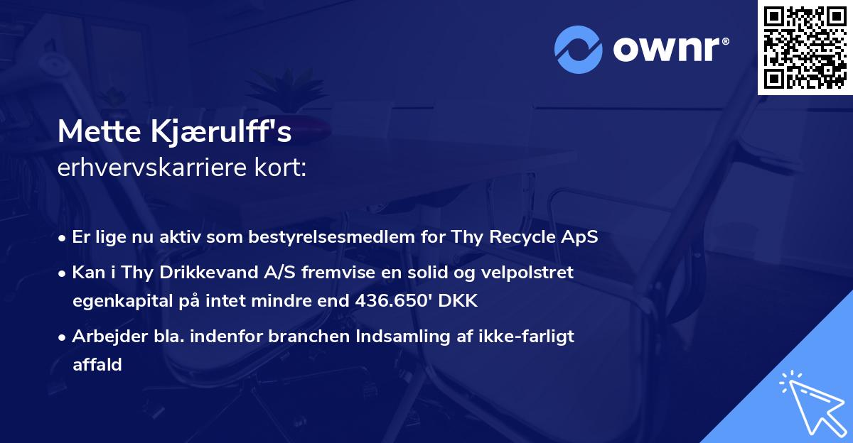Mette Kjærulff's erhvervskarriere kort