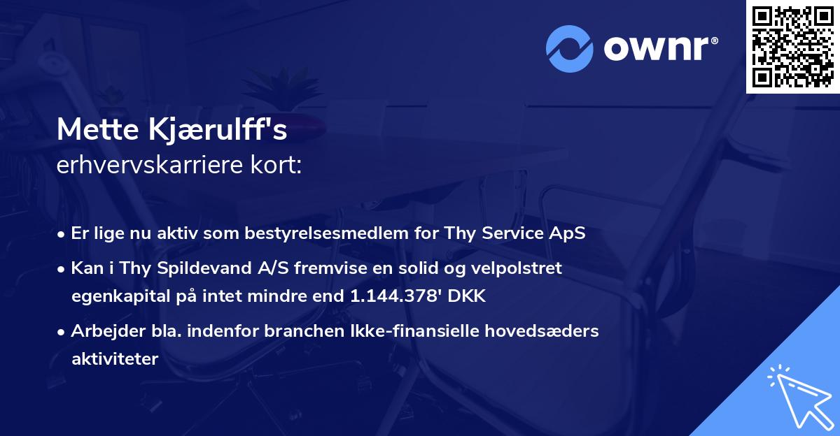 Mette Kjærulff's erhvervskarriere kort