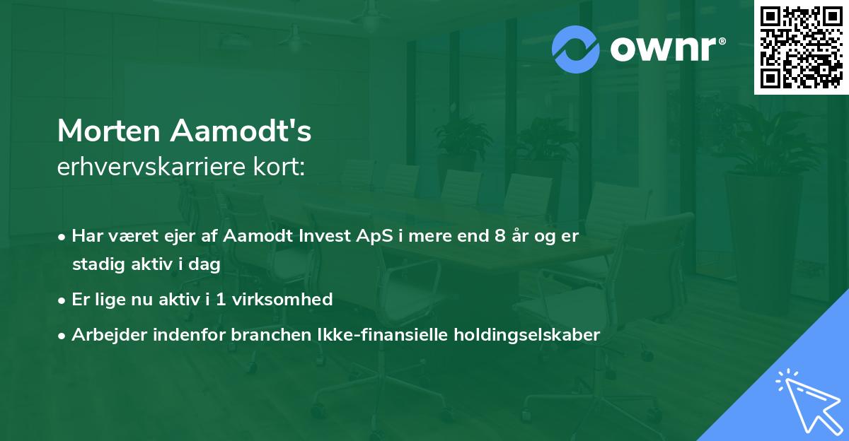Morten Aamodt's erhvervskarriere kort
