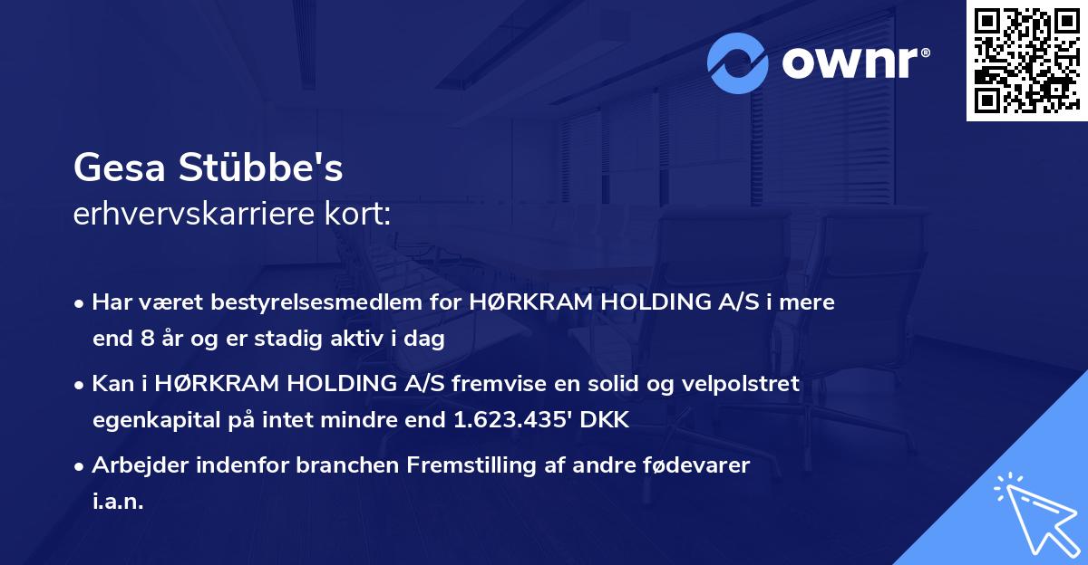 Gesa Stübbe's erhvervskarriere kort