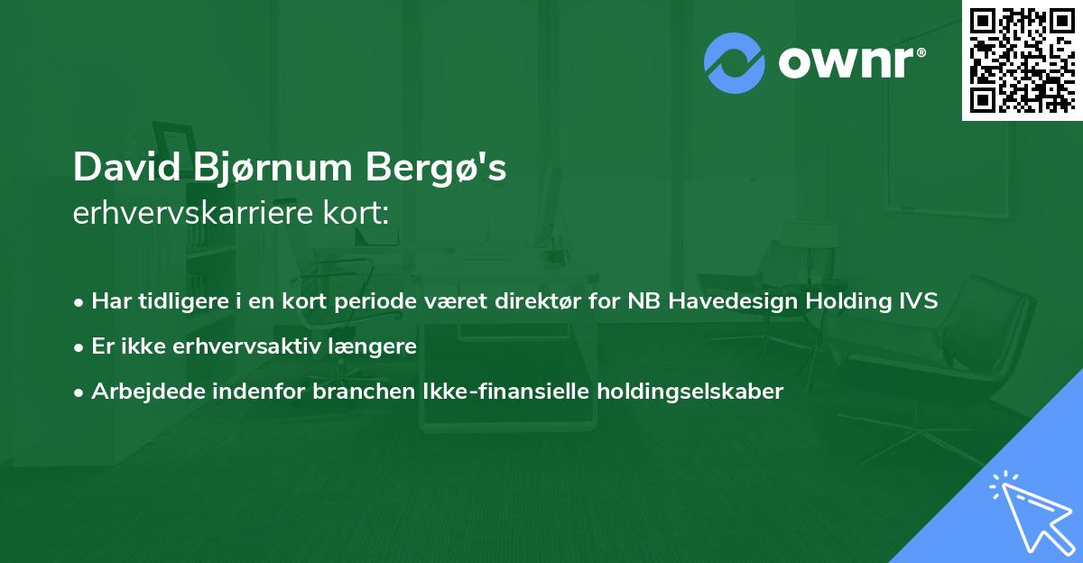 David Bjørnum Bergø's erhvervskarriere kort