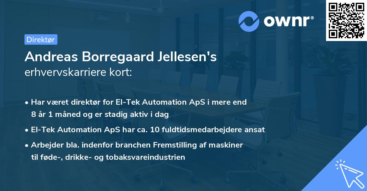Andreas Borregaard Jellesen's erhvervskarriere kort