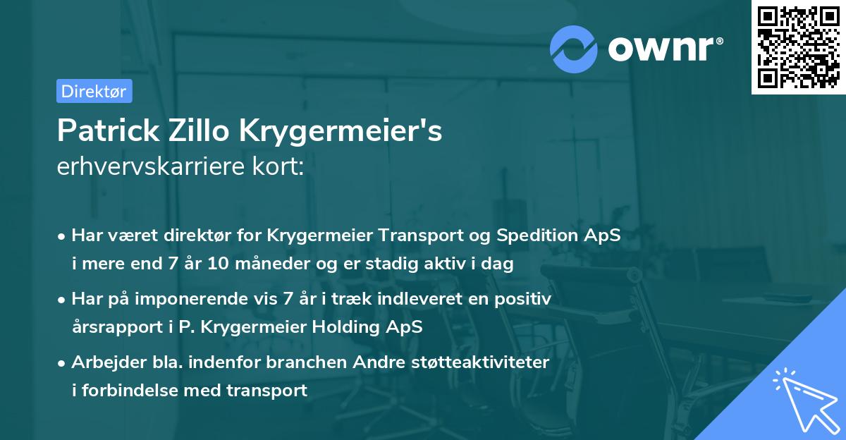 Patrick Zillo Krygermeier's erhvervskarriere kort