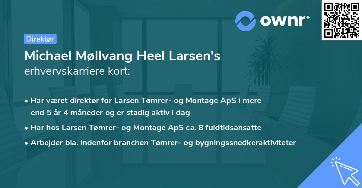 Michael Møllvang Heel Larsen's erhvervskarriere kort