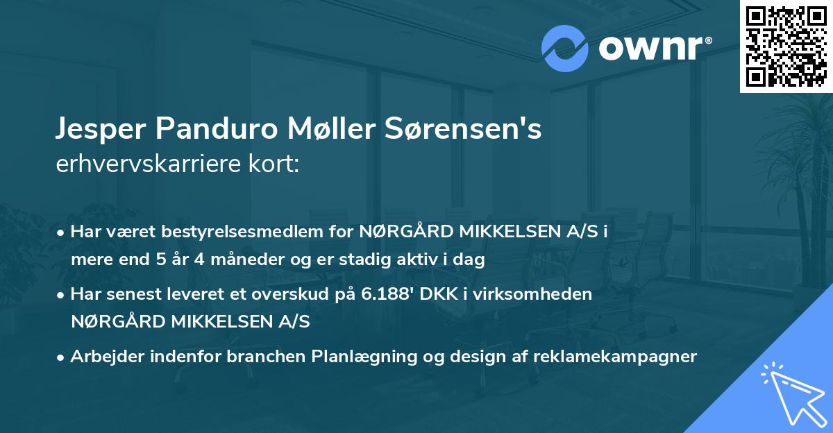 Jesper Panduro Møller Sørensen's erhvervskarriere kort