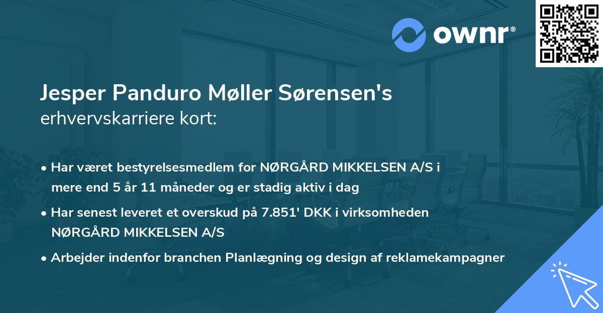 Jesper Panduro Møller Sørensen's erhvervskarriere kort