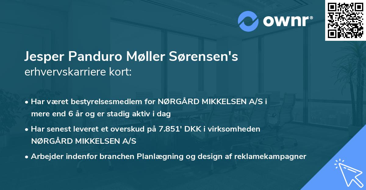 Jesper Panduro Møller Sørensen's erhvervskarriere kort