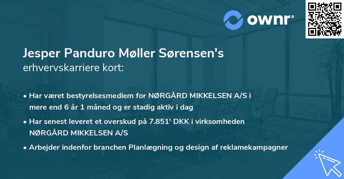 Jesper Panduro Møller Sørensen's erhvervskarriere kort