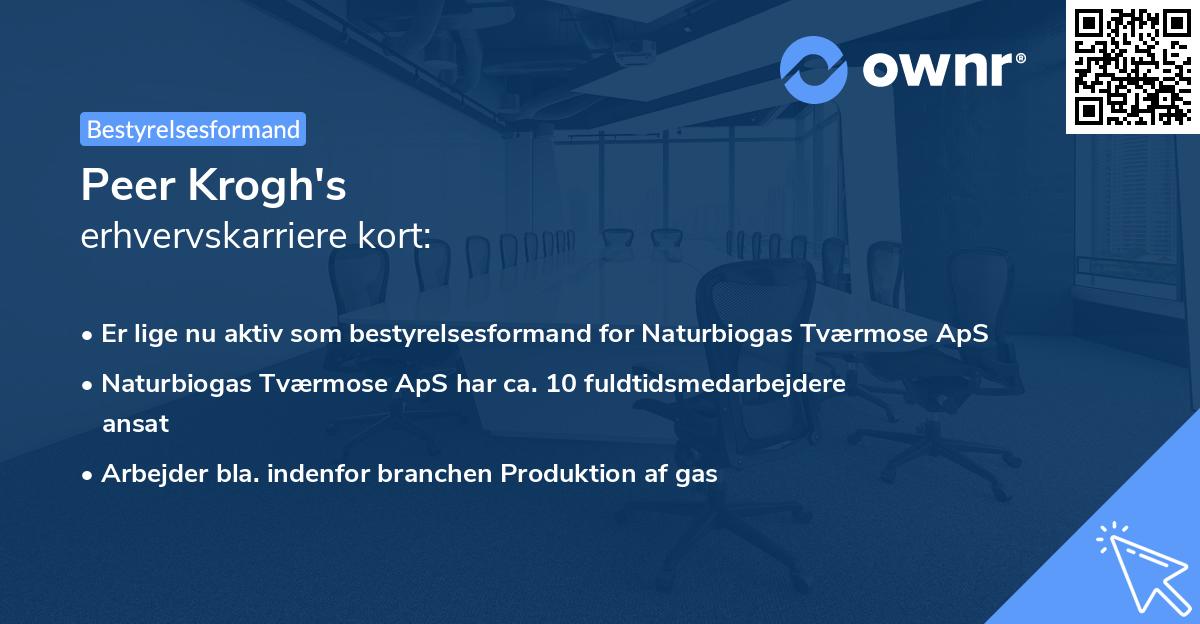 Peer Krogh's erhvervskarriere kort