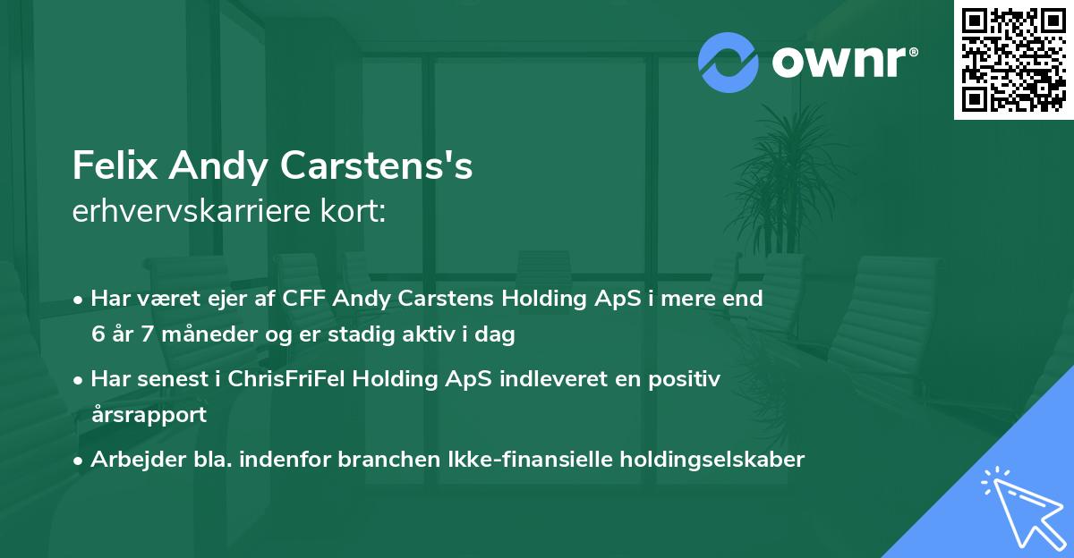 Felix Andy Carstens's erhvervskarriere kort