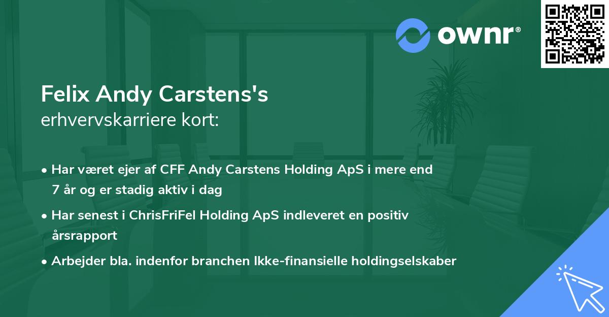 Felix Andy Carstens's erhvervskarriere kort