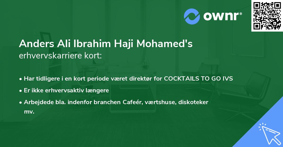 Anders Ali Ibrahim Haji Mohamed's erhvervskarriere kort