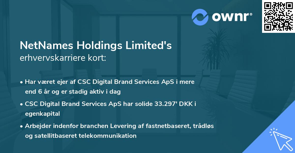NetNames Holdings Limited's erhvervskarriere kort