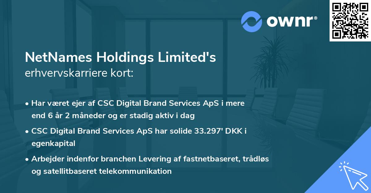 NetNames Holdings Limited's erhvervskarriere kort