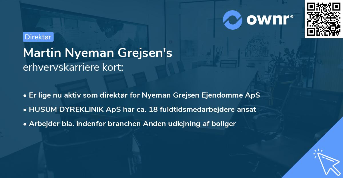 Martin Nyeman Grejsen's erhvervskarriere kort
