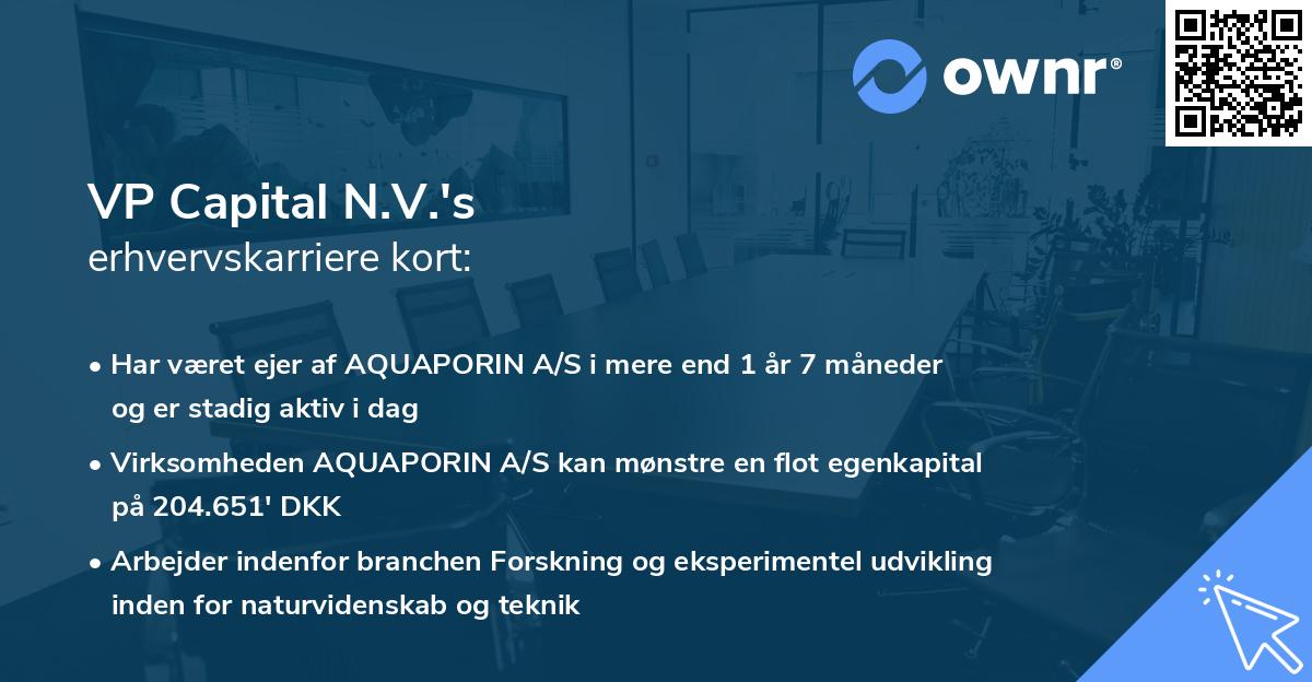 VP Capital N.V.'s erhvervskarriere kort