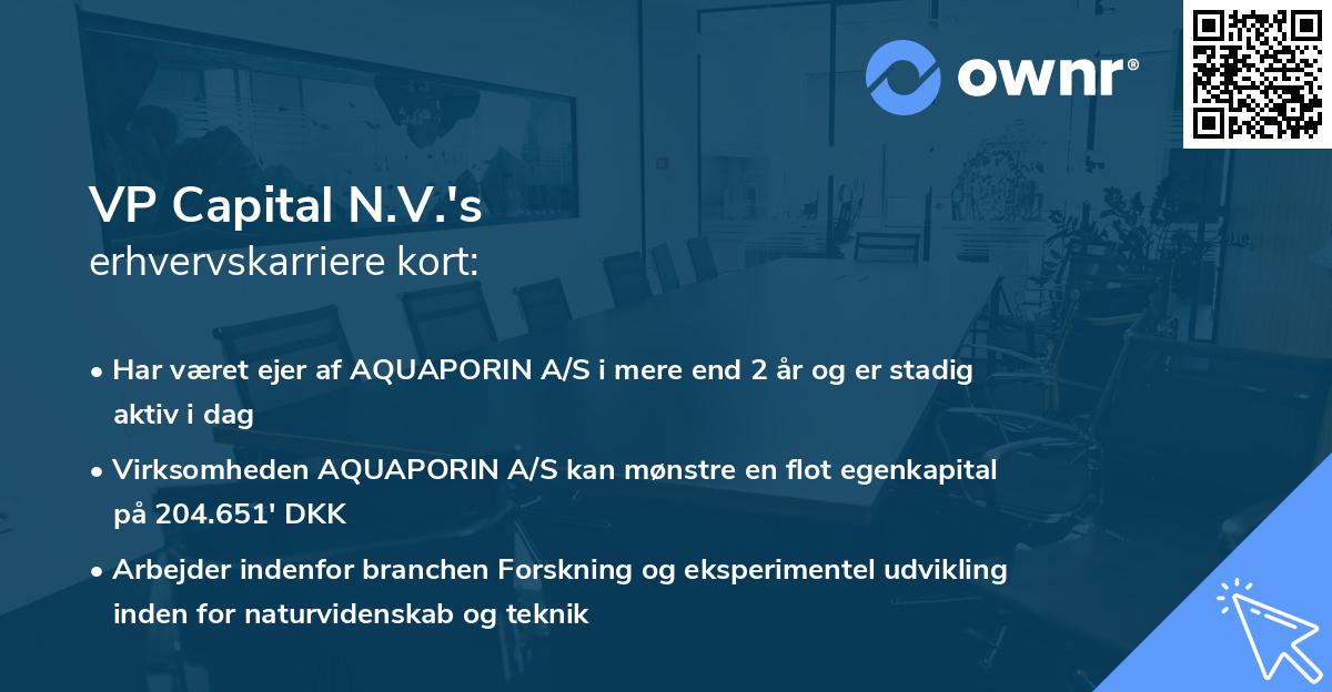 VP Capital N.V.'s erhvervskarriere kort