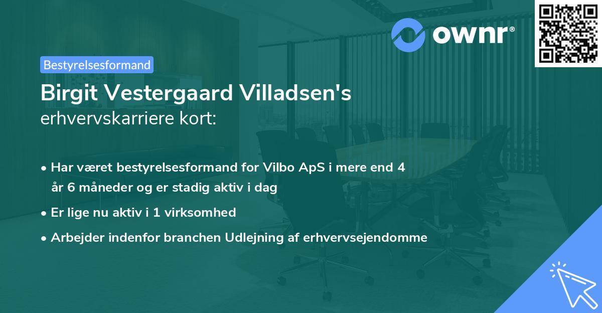 Birgit Vestergaard Villadsen's erhvervskarriere kort