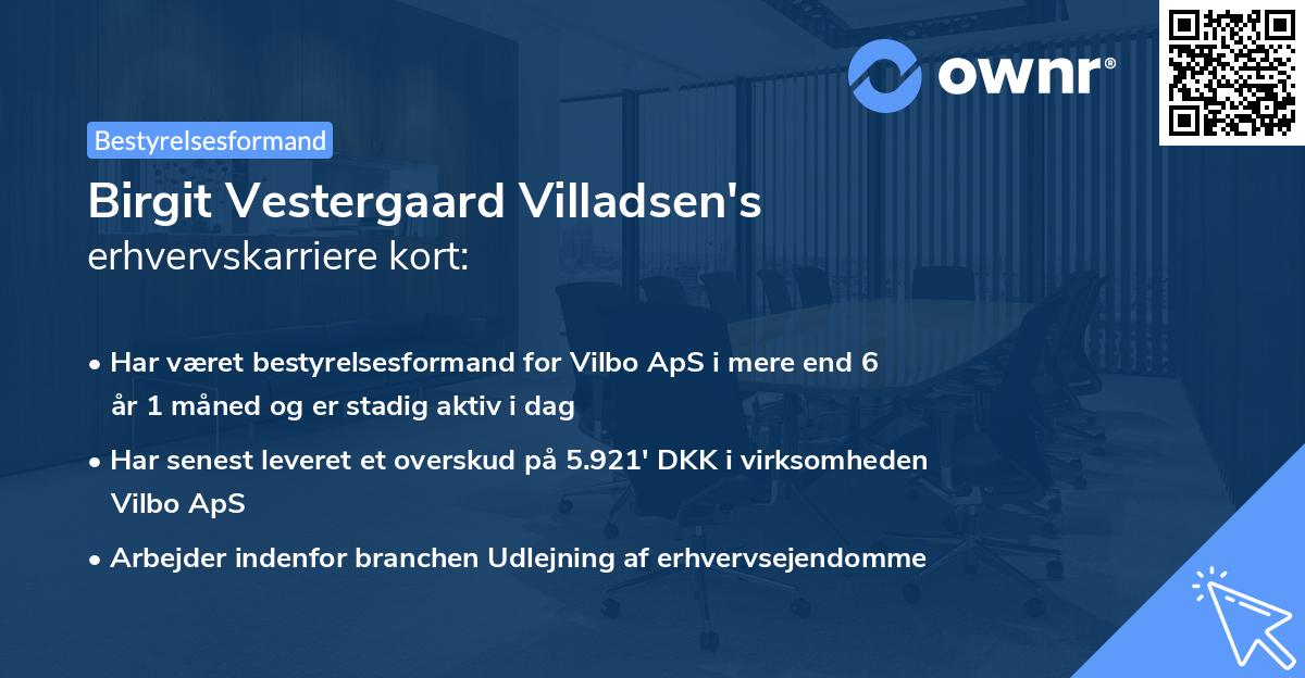 Birgit Vestergaard Villadsen's erhvervskarriere kort