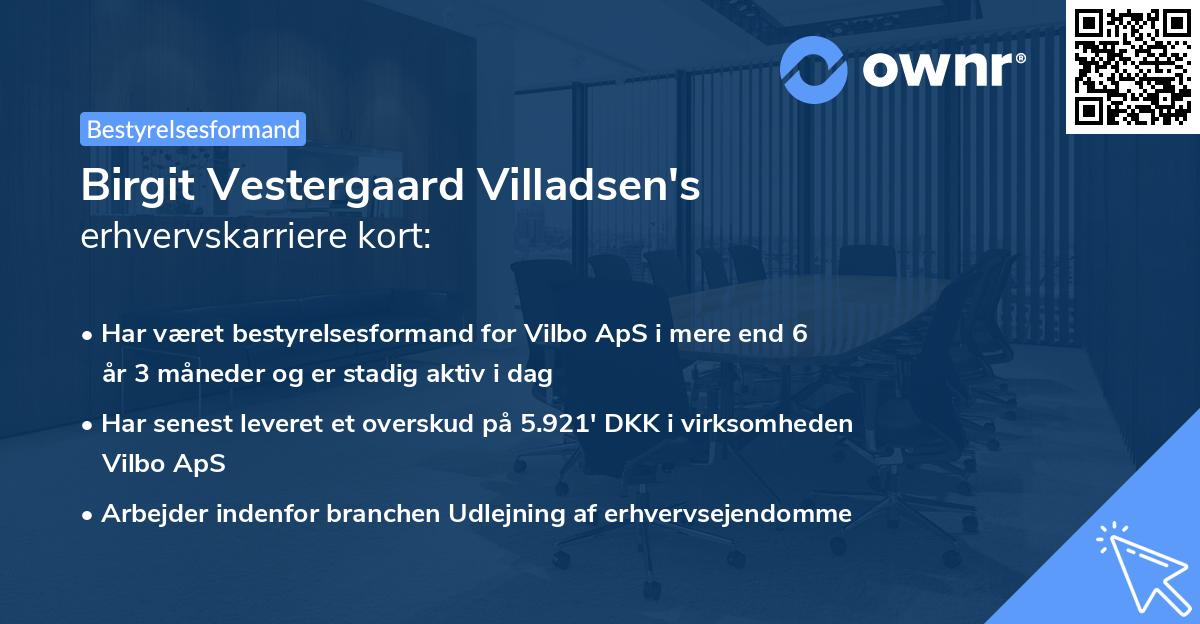 Birgit Vestergaard Villadsen's erhvervskarriere kort