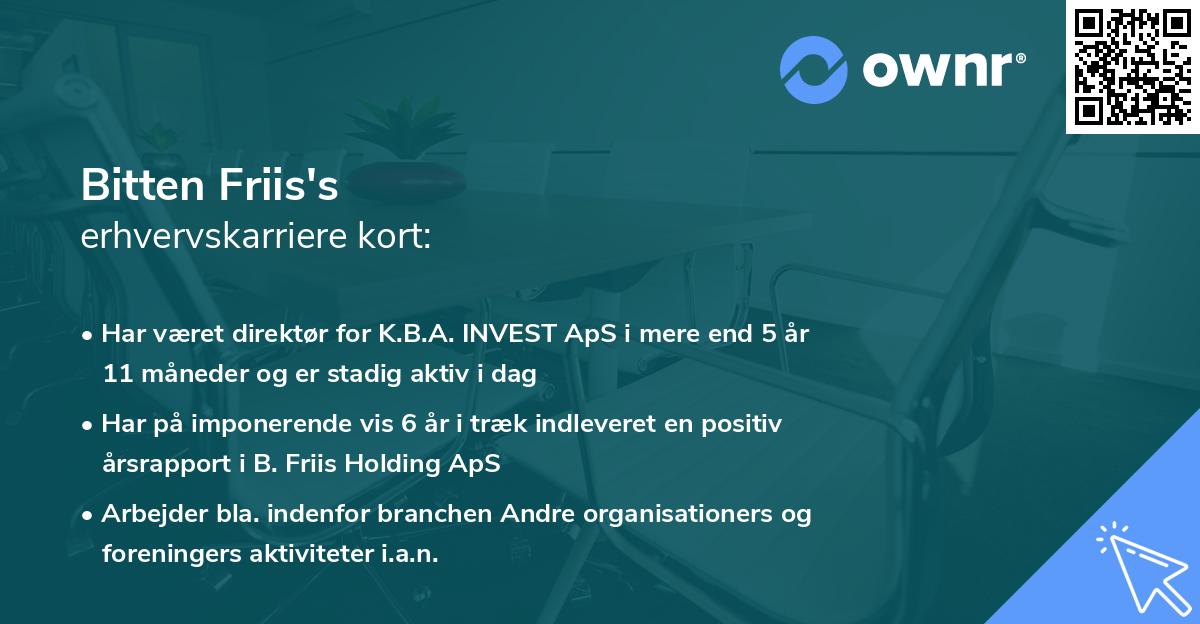 Bitten Friis's erhvervskarriere kort