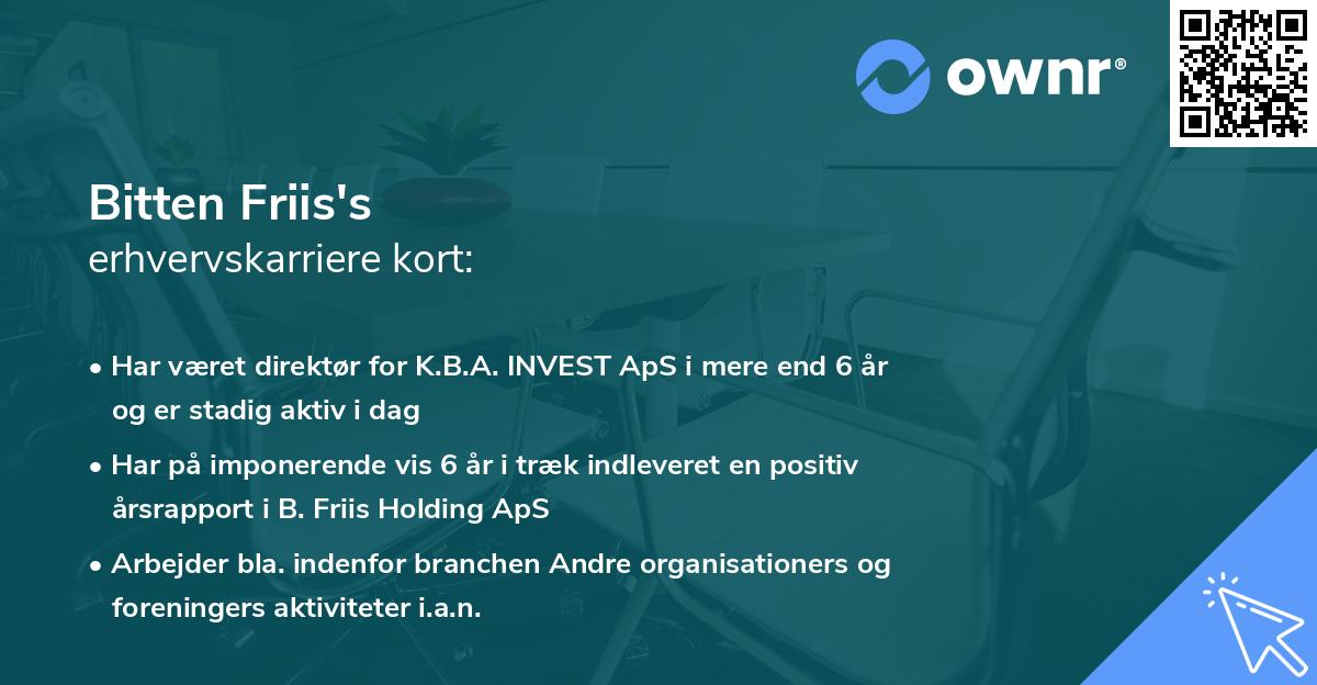 Bitten Friis's erhvervskarriere kort