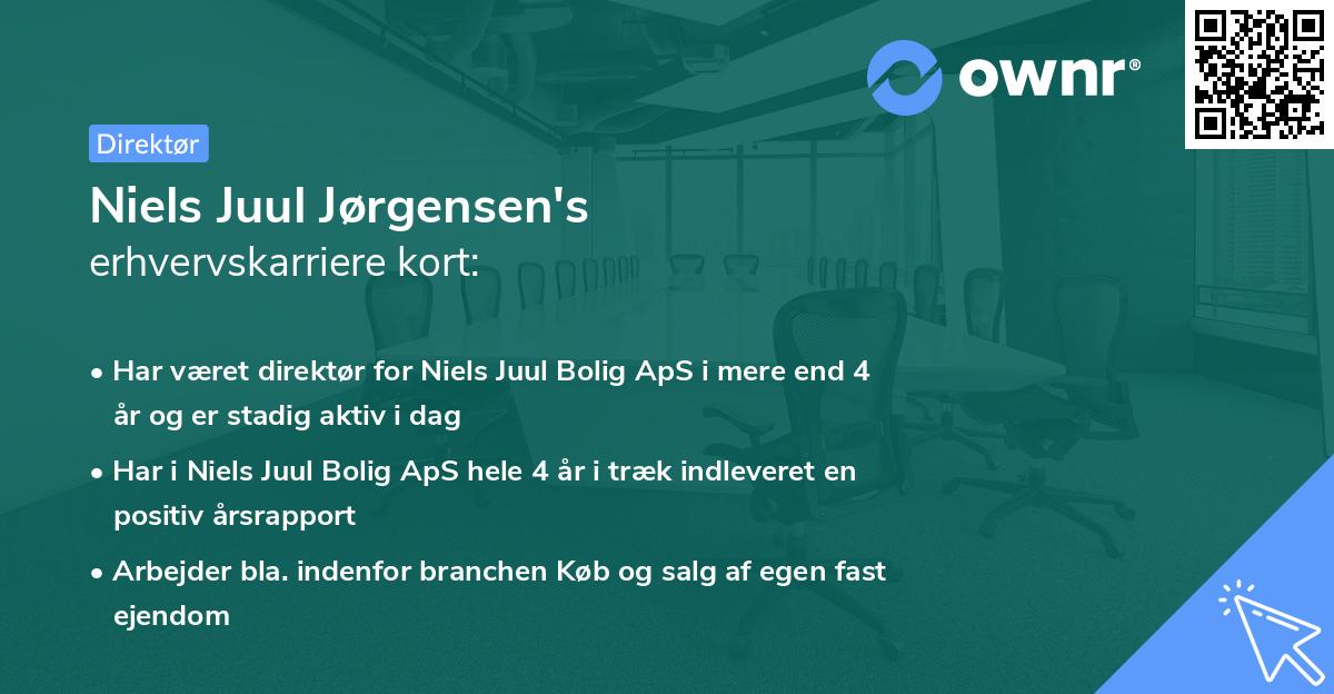 Niels Juul Jørgensen's erhvervskarriere kort