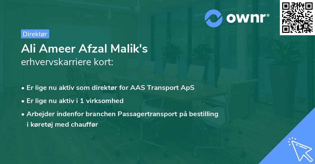 Ali Ameer Afzal Malik's erhvervskarriere kort