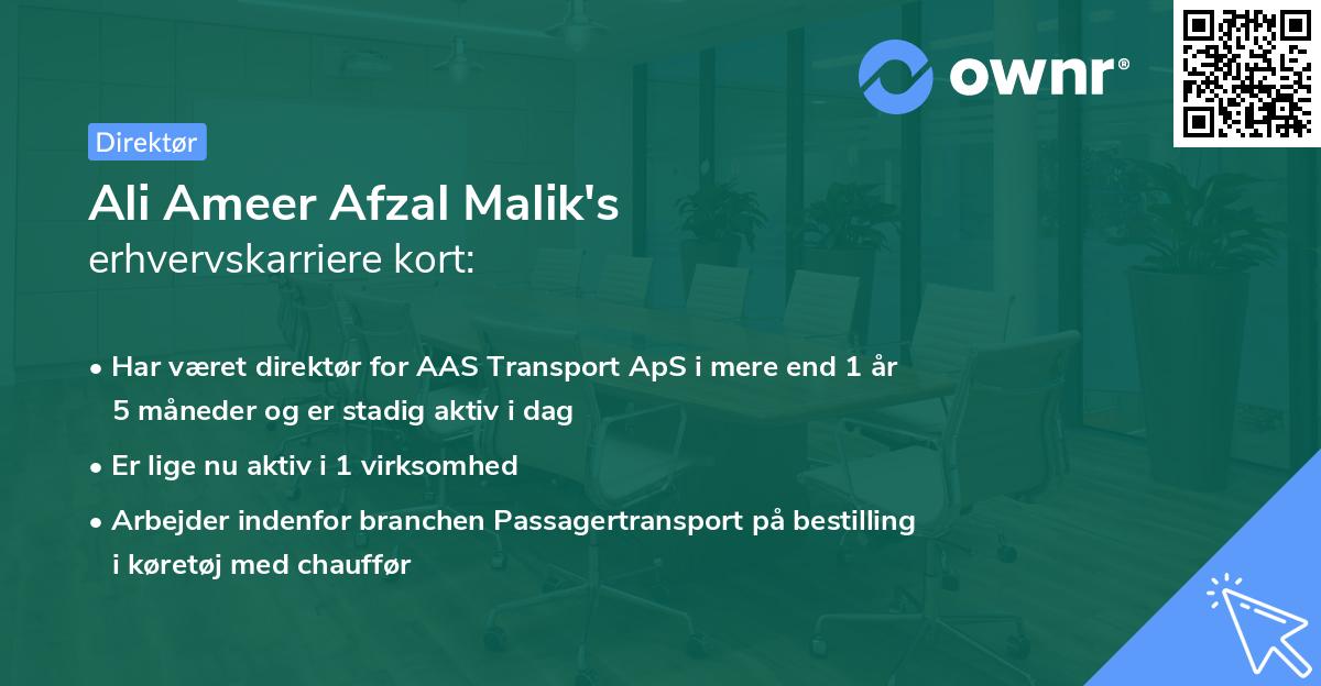 Ali Ameer Afzal Malik's erhvervskarriere kort
