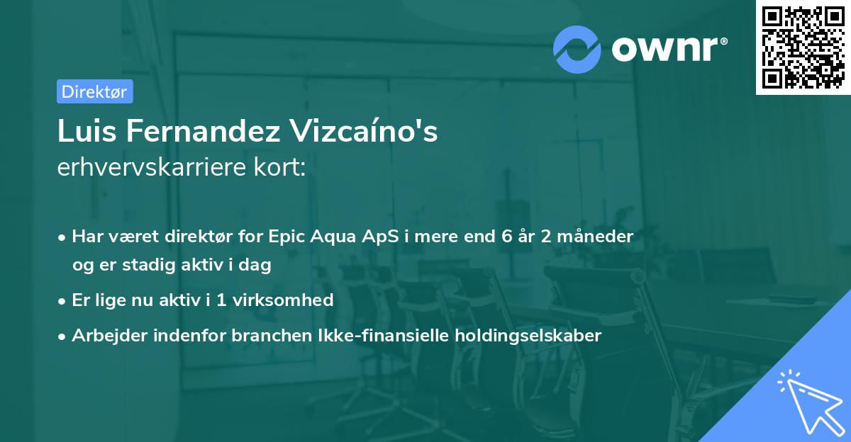 Luis Fernandez Vizcaíno's erhvervskarriere kort