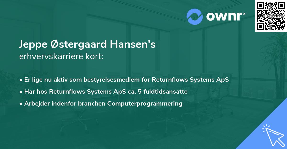 Jeppe Østergaard Hansen's erhvervskarriere kort