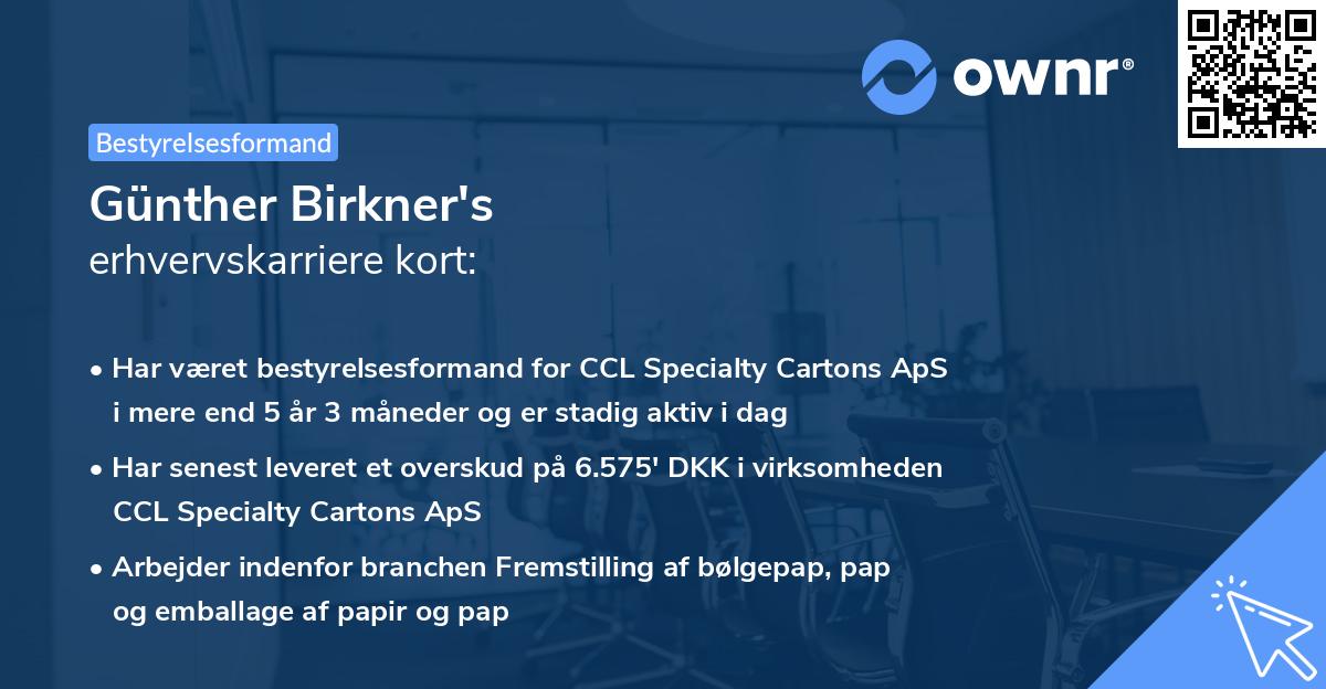 Günther Birkner's erhvervskarriere kort