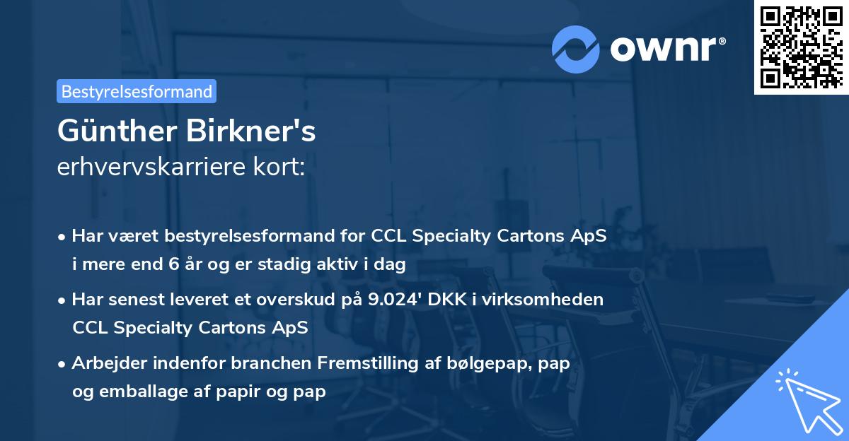 Günther Birkner's erhvervskarriere kort