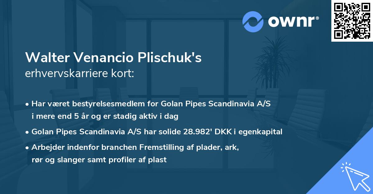 Walter Venancio Plischuk's erhvervskarriere kort