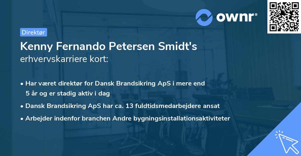 Kenny Fernando Petersen Smidt's erhvervskarriere kort