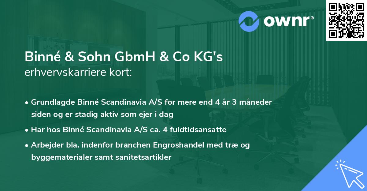 Binné & Sohn GbmH & Co KG's erhvervskarriere kort