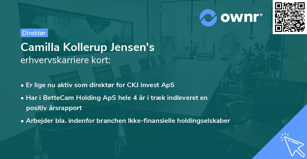 Camilla Kollerup Jensen's erhvervskarriere kort